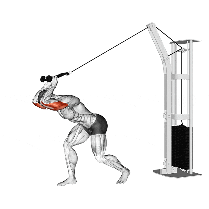 Cable Rope Overhead Triceps Extension animation