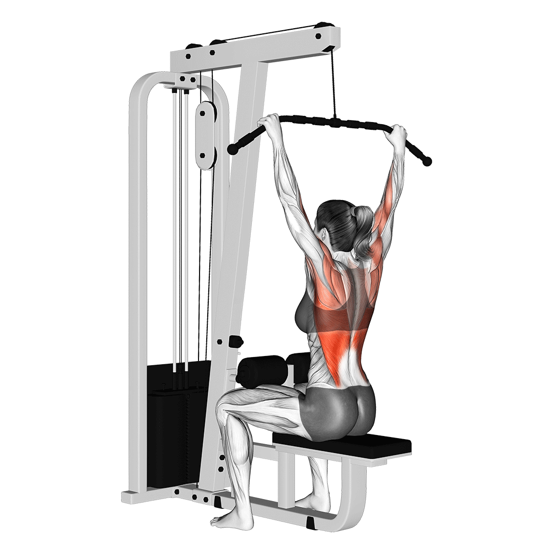 Wide Grip Lat Pulldown animation