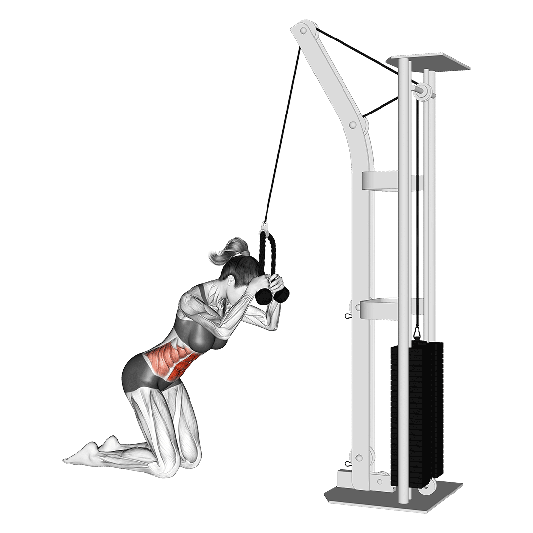 Cable Knee Crunch animation