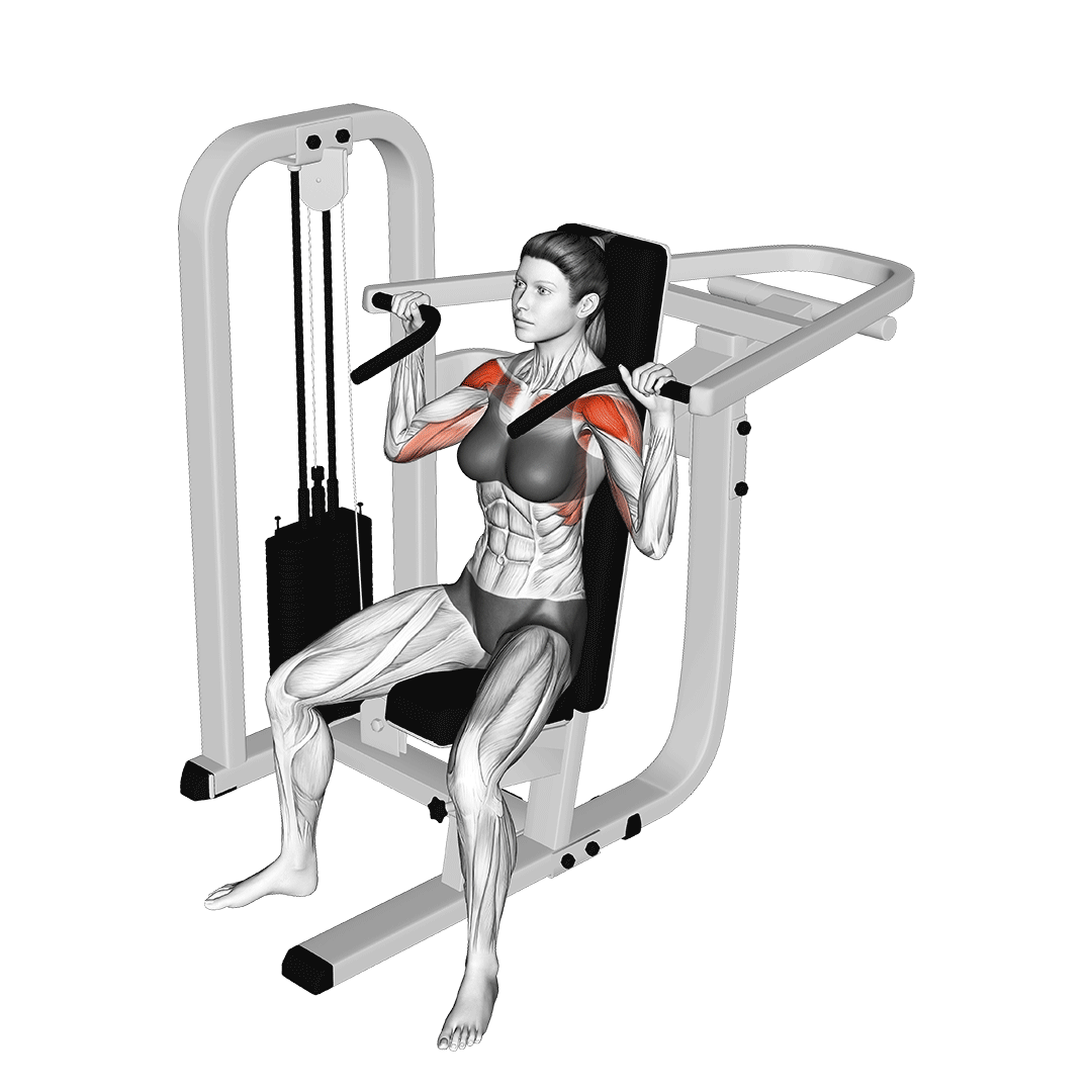 Shoulder Press Machine animation