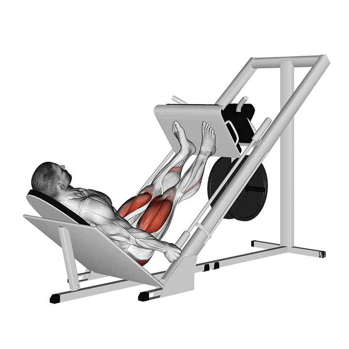 V Leg Press animation