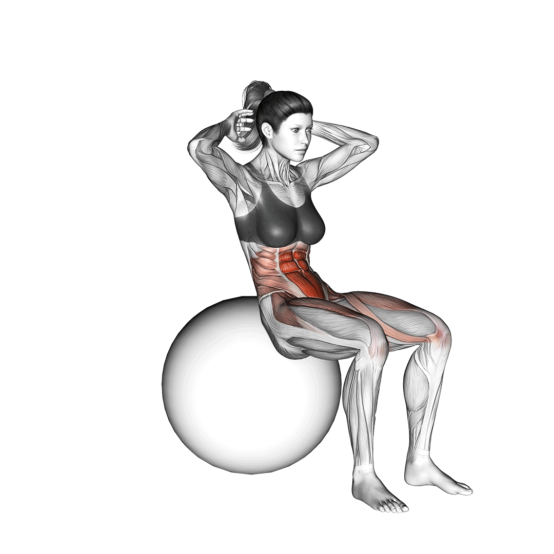 Ball Sit Up animation