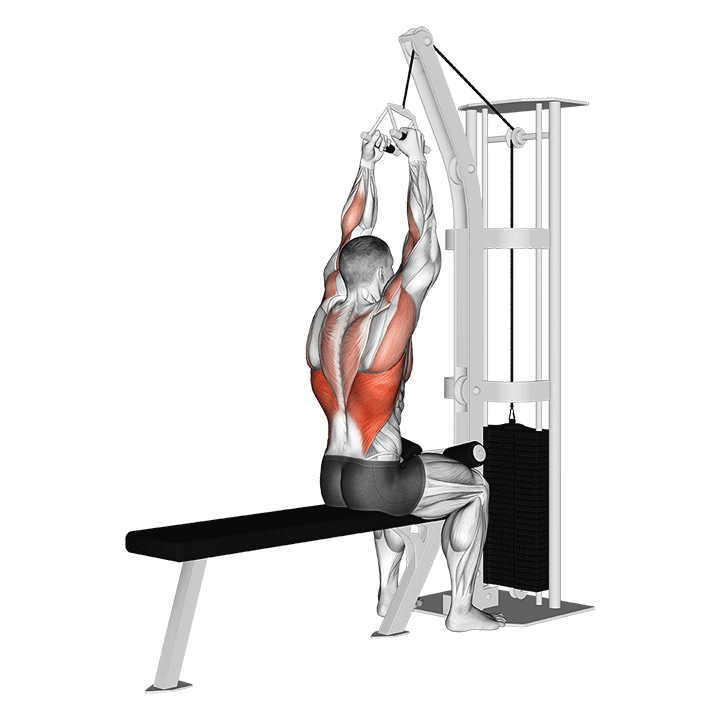 Neutral / V Grip Lat Pulldown animation