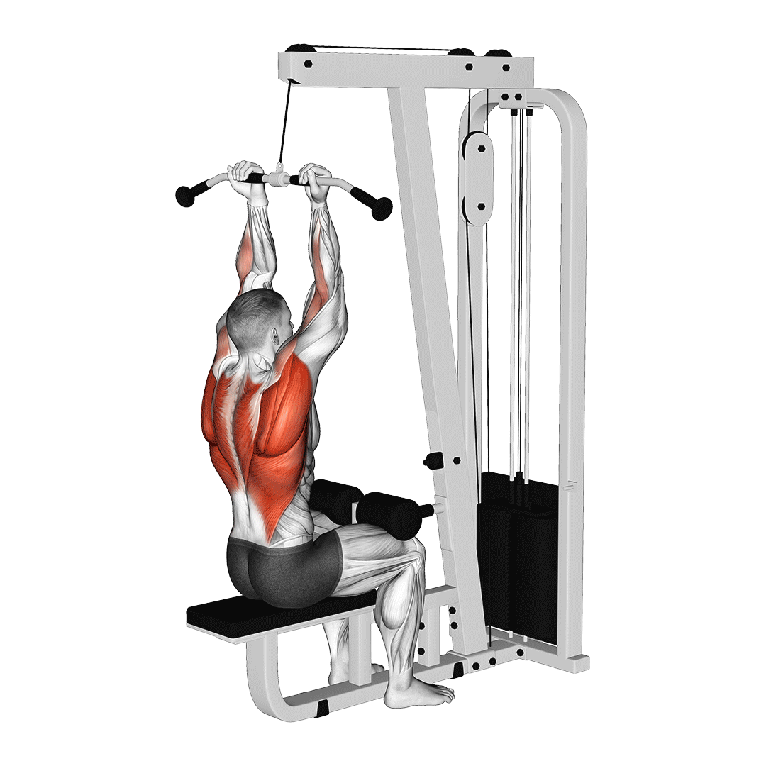 Supinated / Reverse Grip Lat Pulldown animation