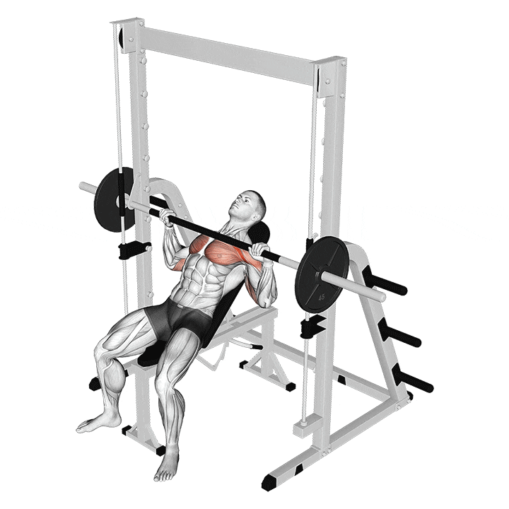 Smith Machine Incline Bench Press animation
