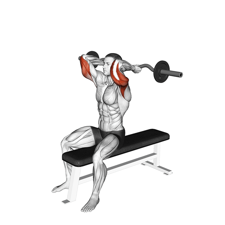 Ez-Bar Seated Triceps Extension animation