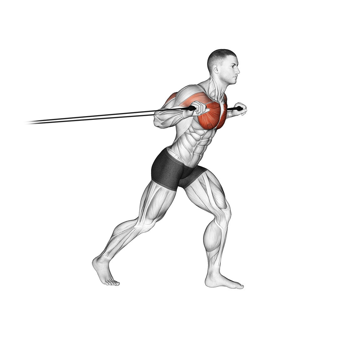 Band Chest Press animation