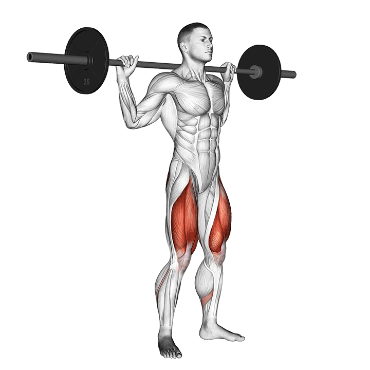 Squat / Back Squat animation