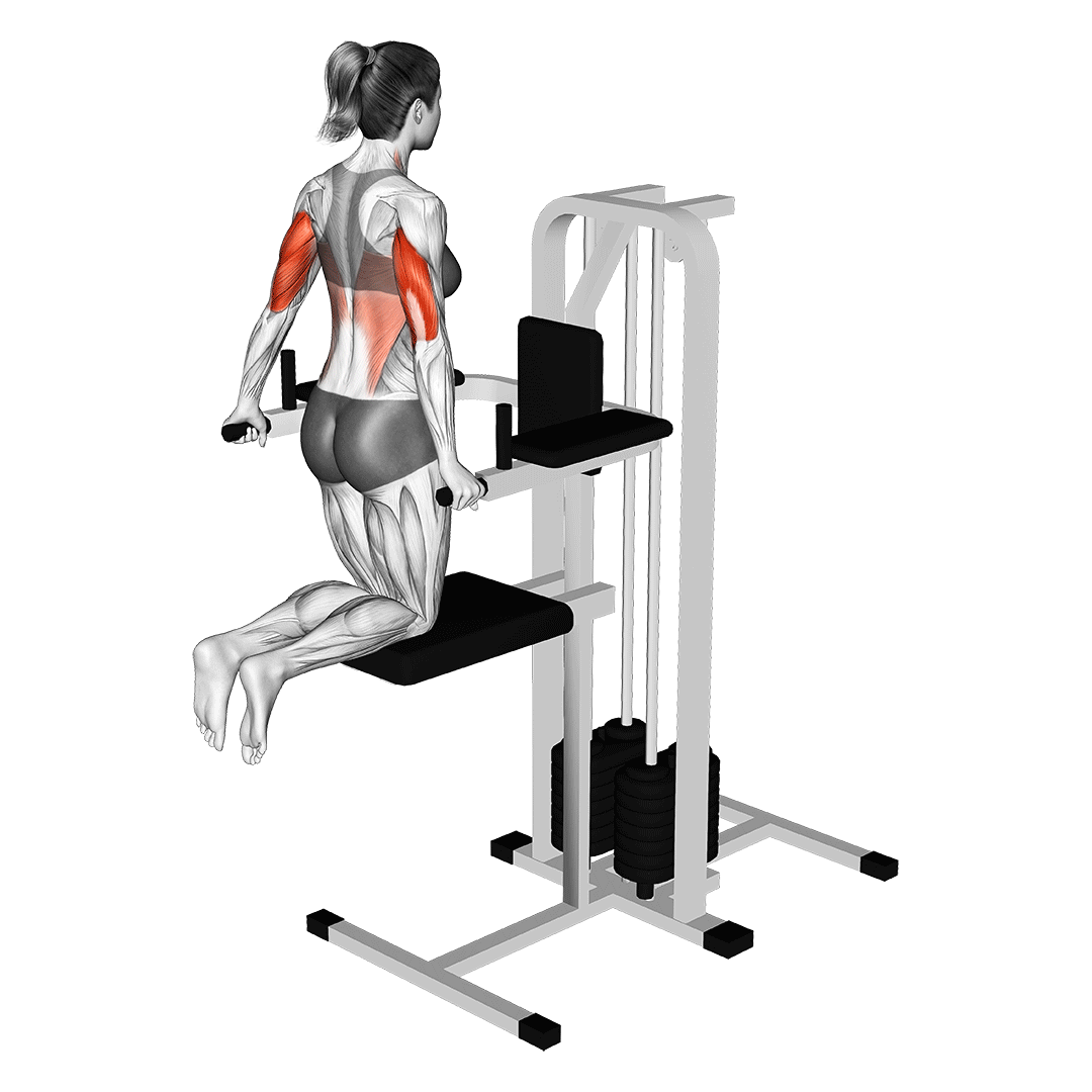 Assisted Dip animation