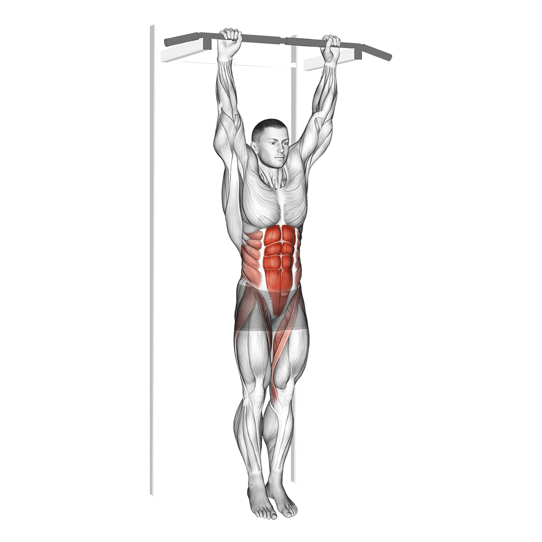 Hanging Leg Raise animation