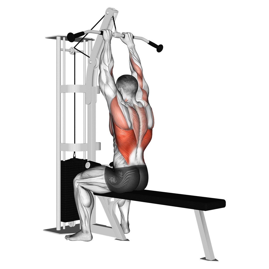 Close Grip Lat Pulldown animation