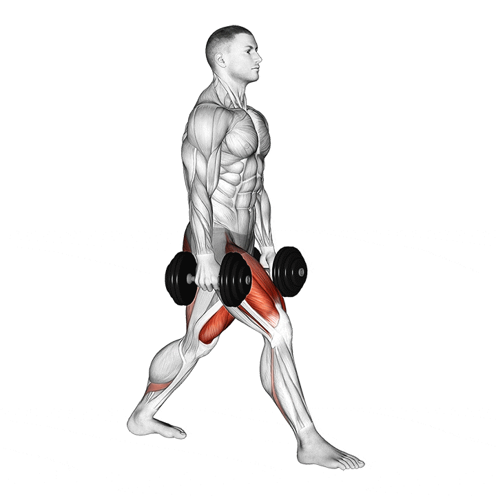 Dumbbell Lunge animation