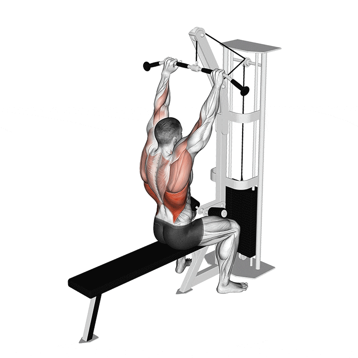 Lat Pulldown animation