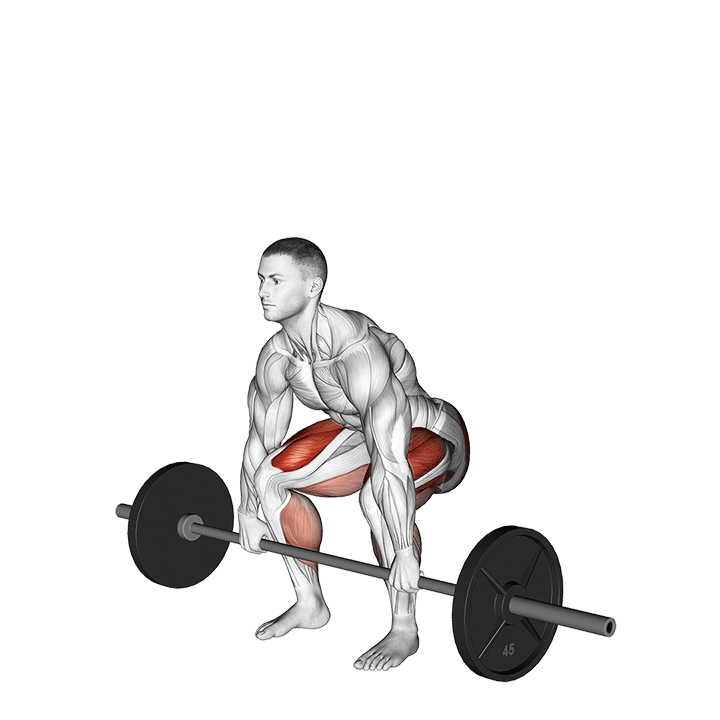 Barbell Deadlift animation