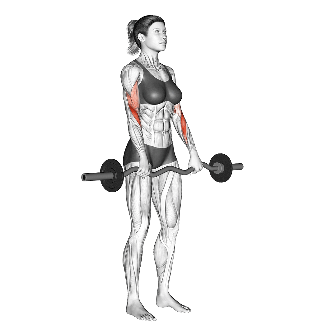 Reverse Grip Ez-Bar Curls animation