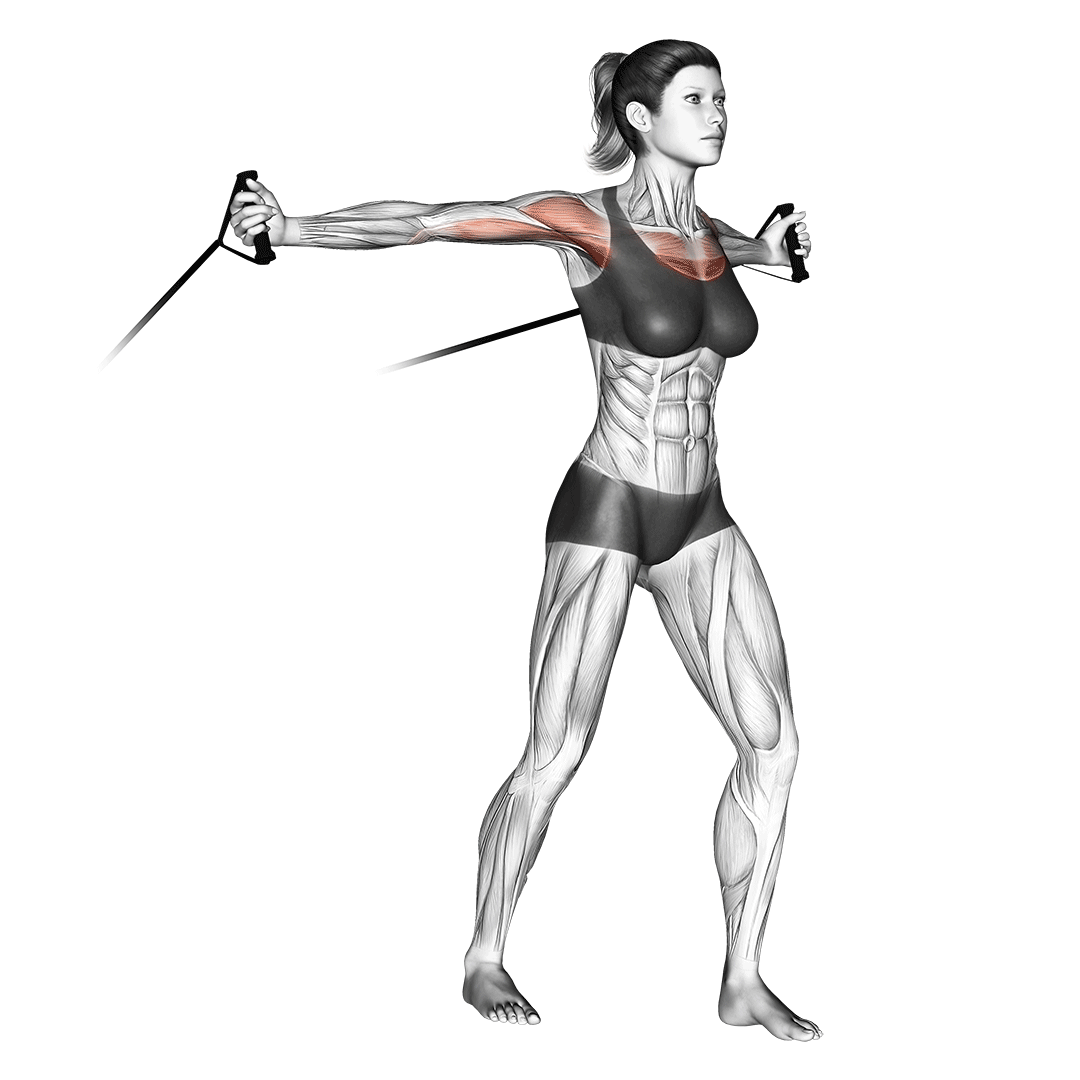 Band Chest Fly animation