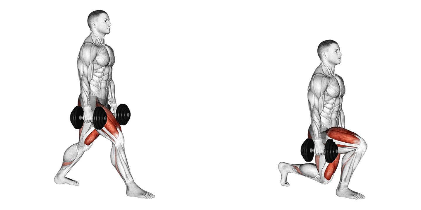 Dumbbell Lunge