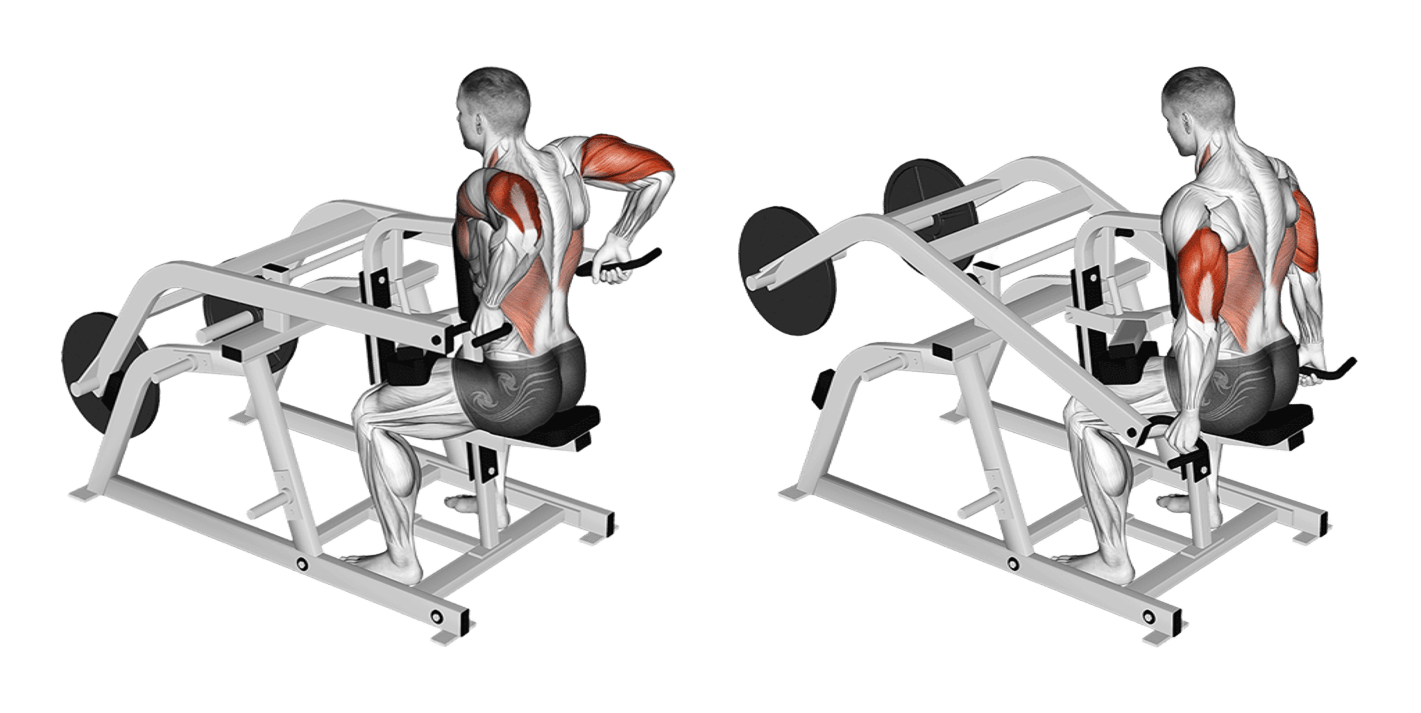 Seated Dip Machine