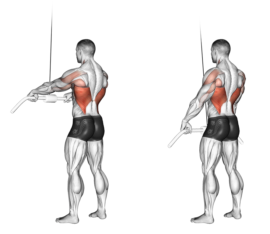 Standing Straight-Arm Pulldown