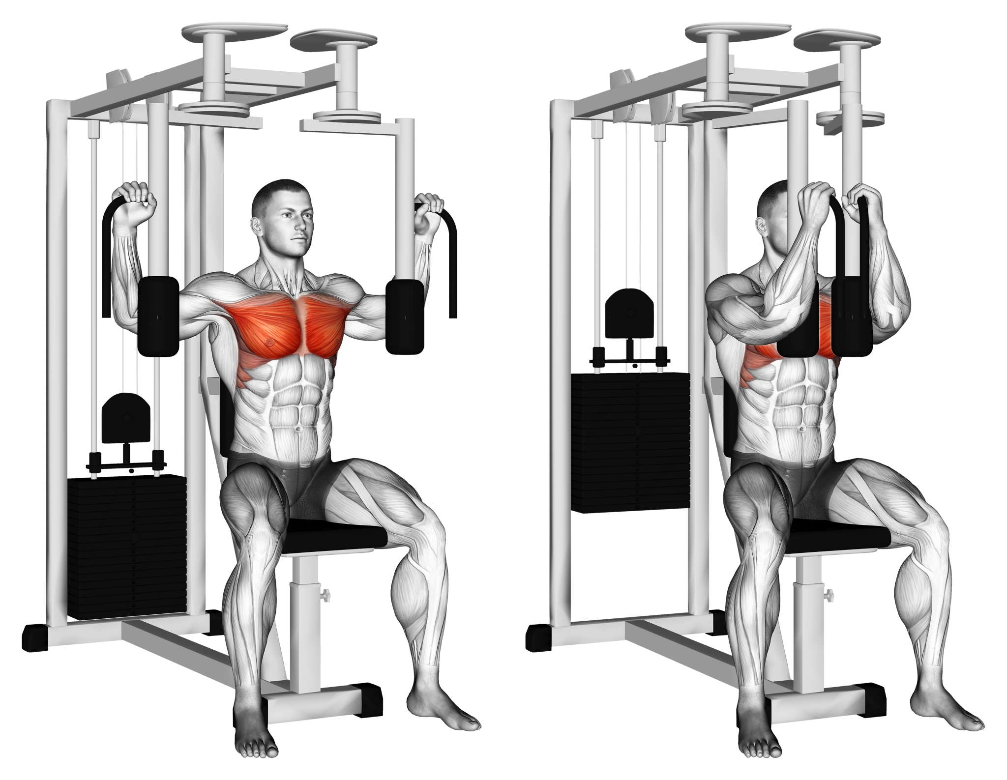 Pec Deck Fly / Machine Chest Fly