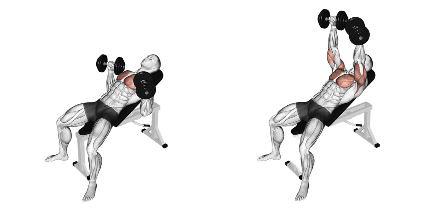 Dumbbell Incline Bench Press
