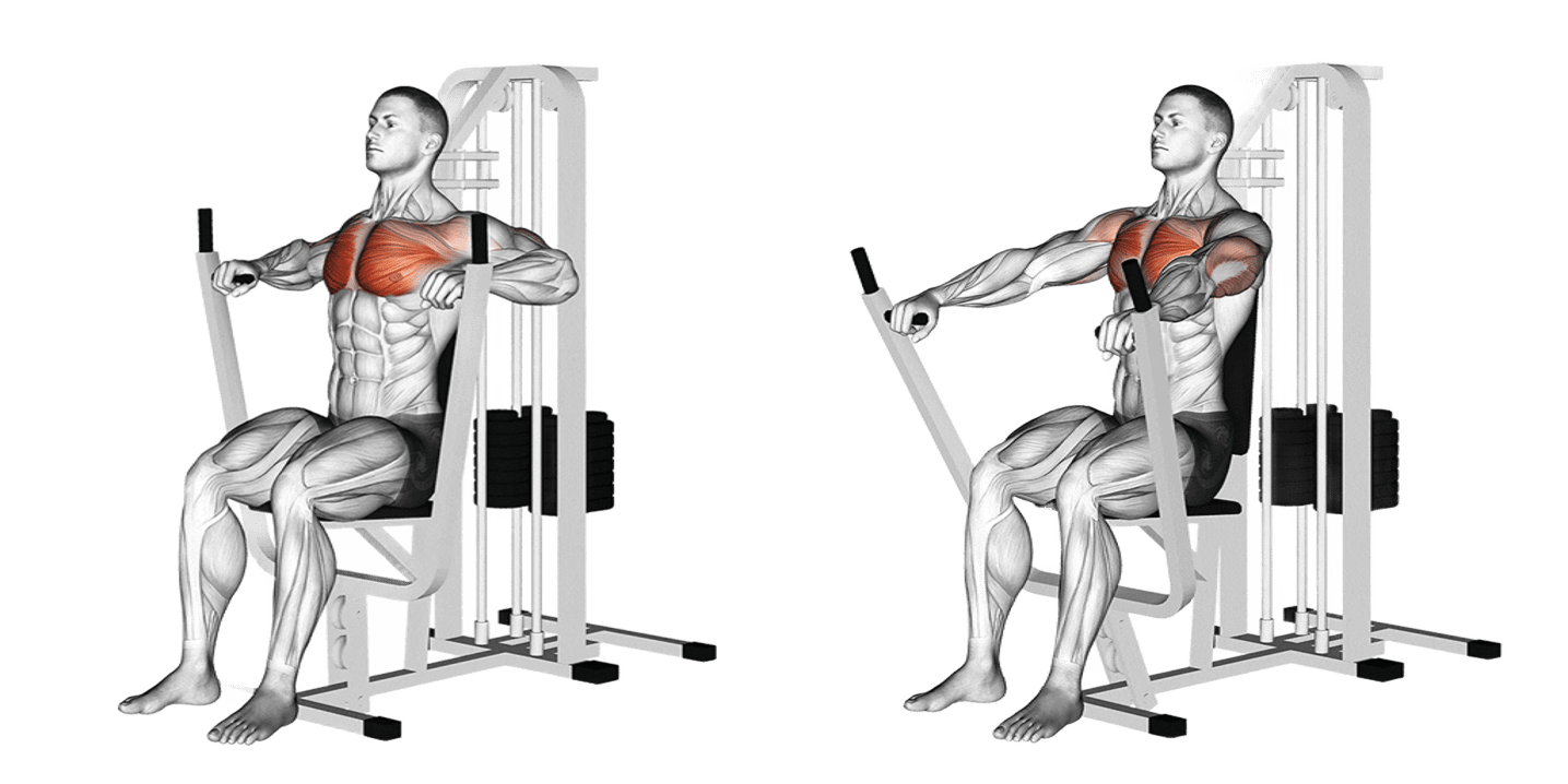 Lever Chest Press