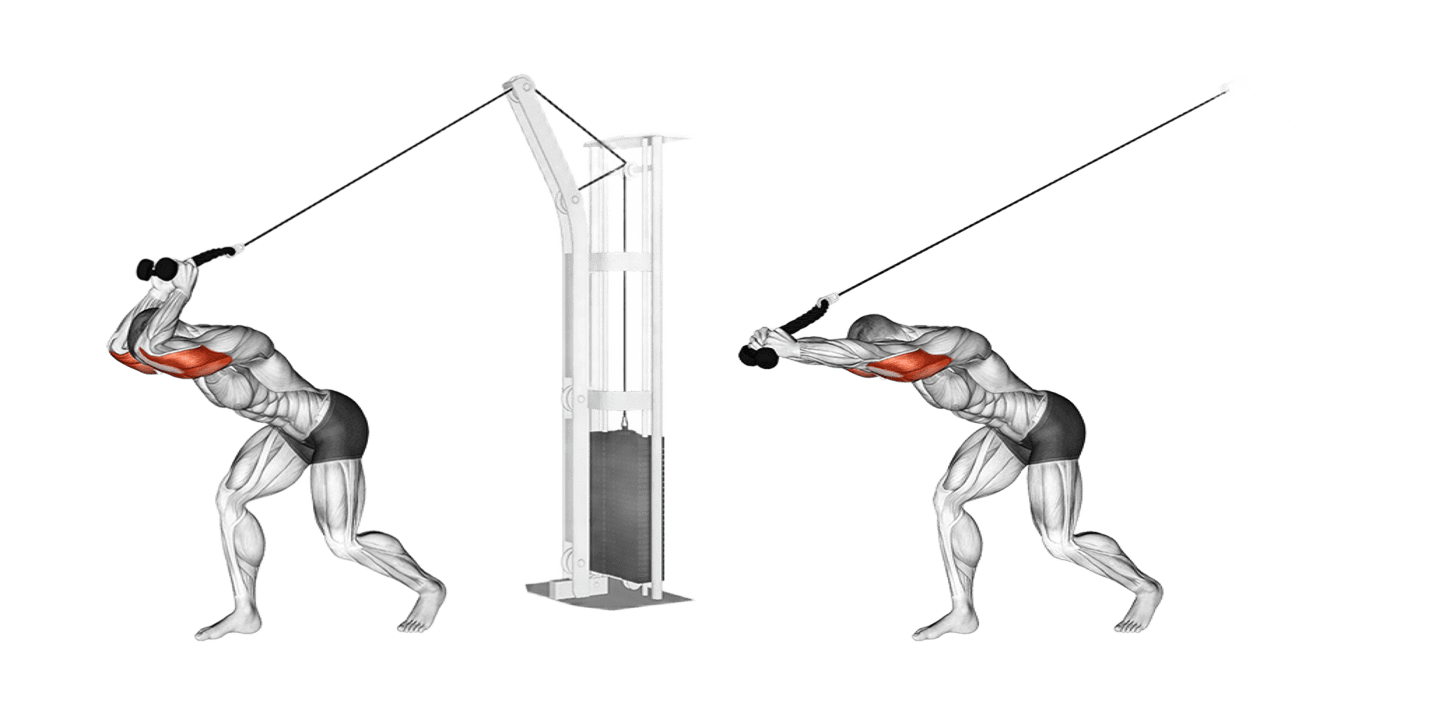 Cable Rope Overhead Triceps Extension