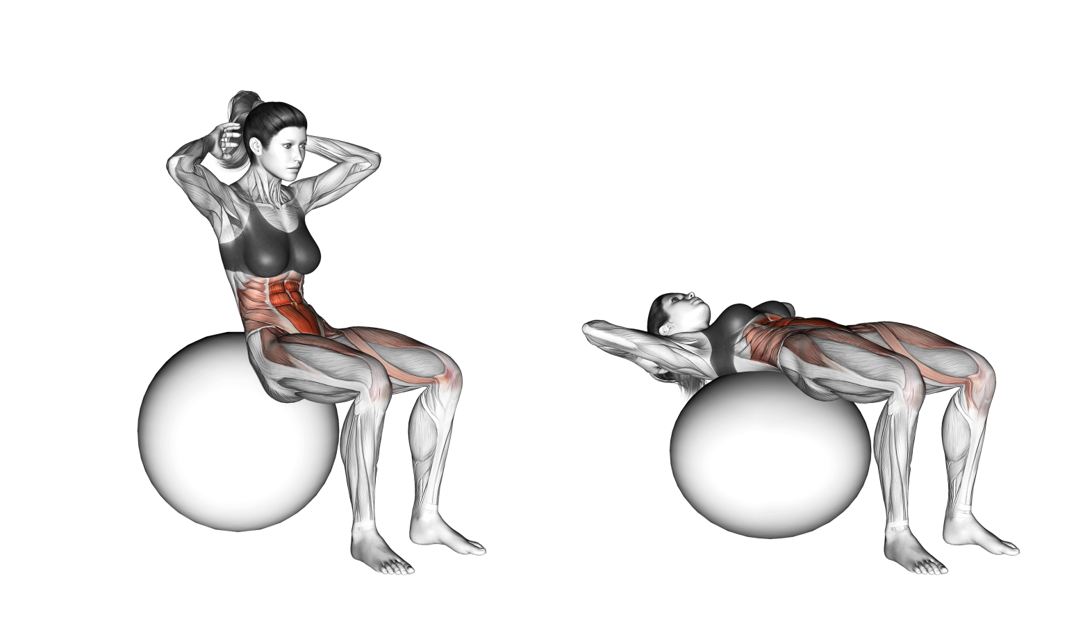 Ball Sit Up