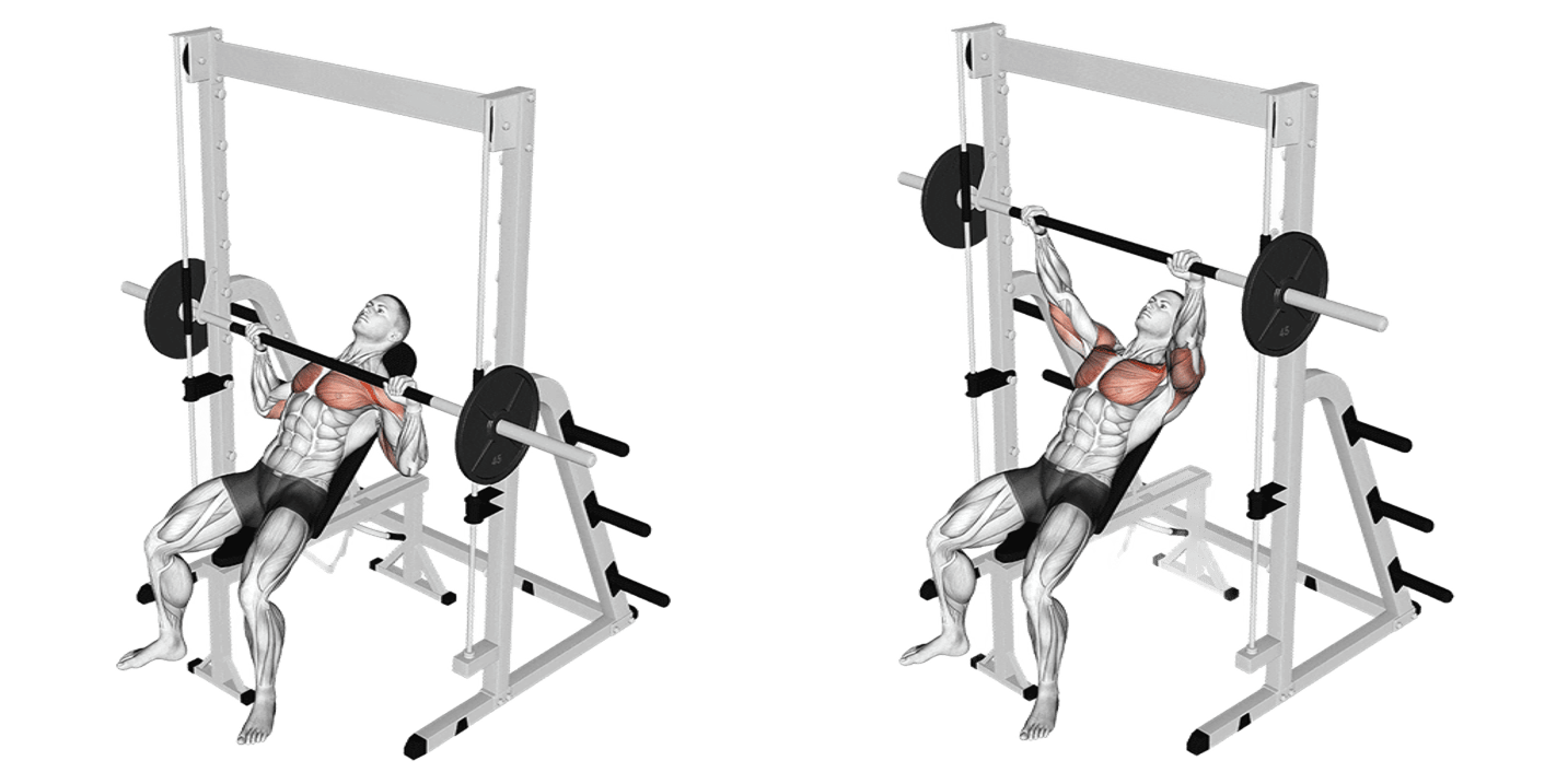 Smith Machine Incline Bench Press