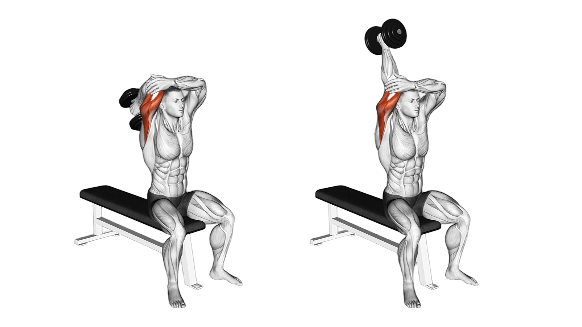 Tricep Overhead Extension