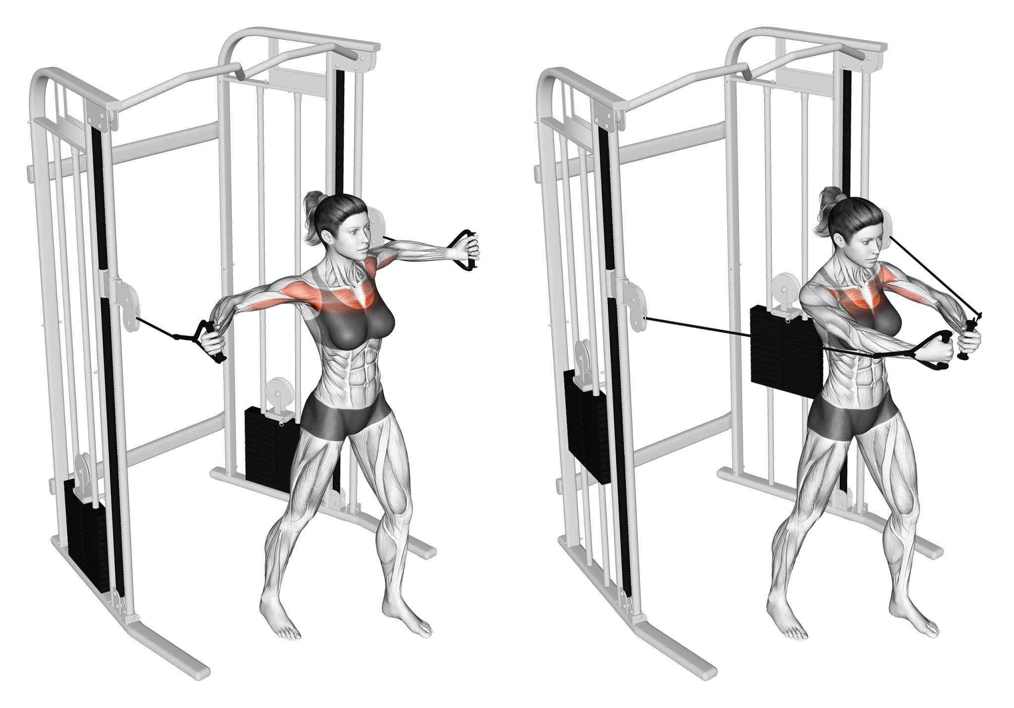 Cable Chest Fly