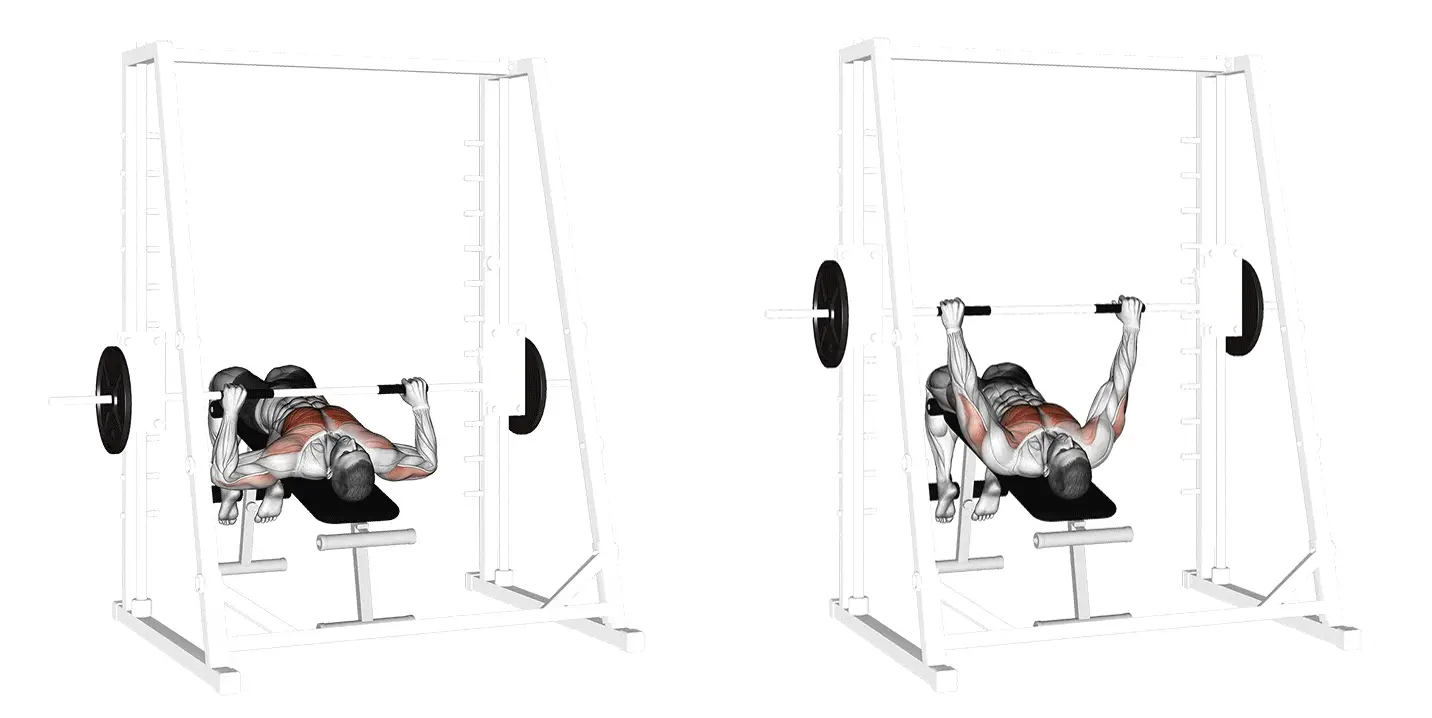 Smith Machine Decline Bench Press