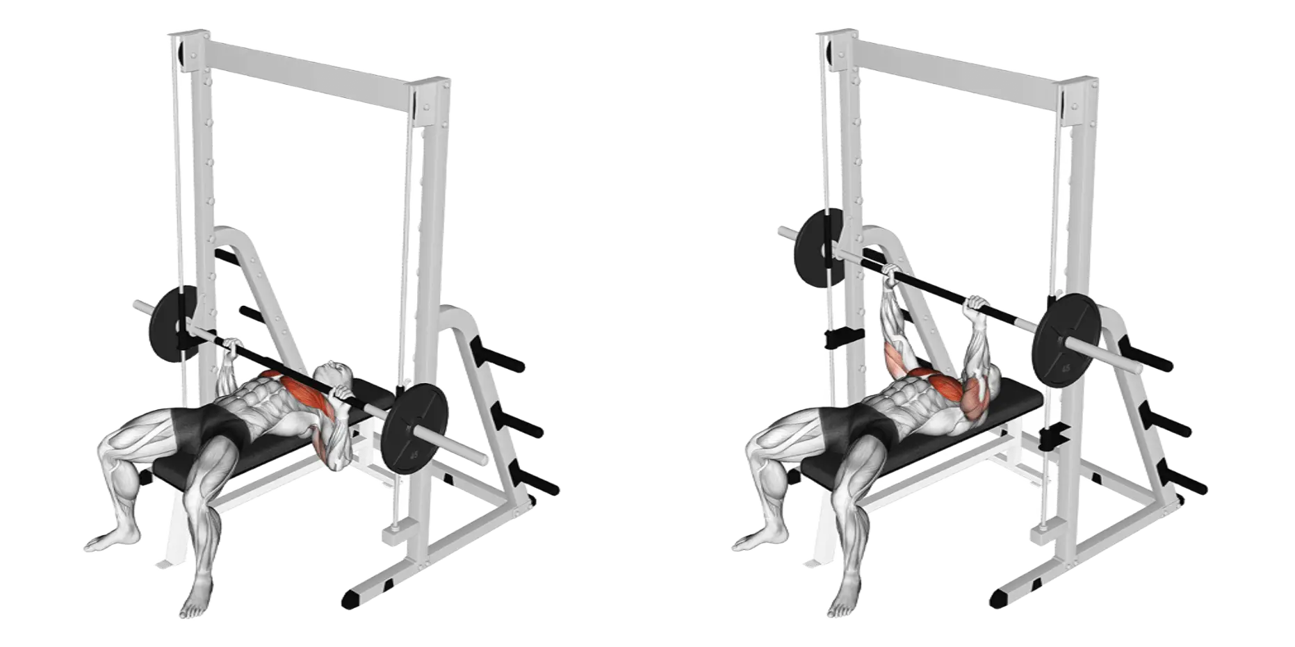 Smith Machine Bench Press