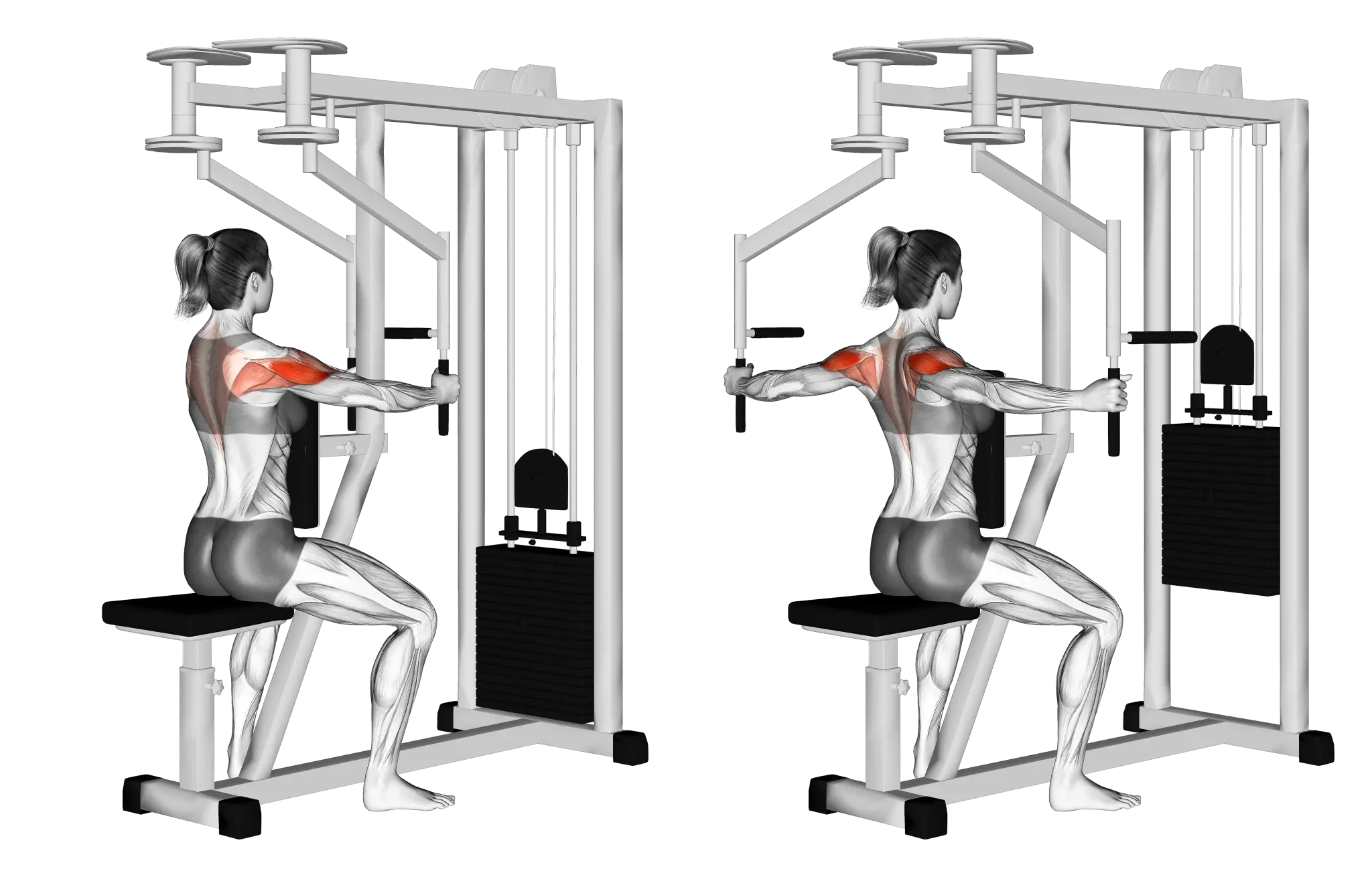 Reverse Pec Deck Fly