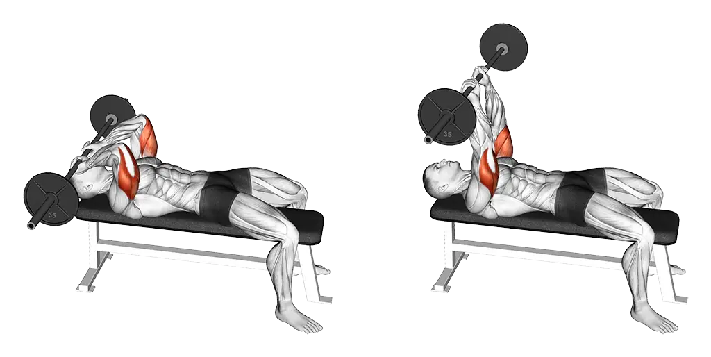 Barbell Skull Crusher
