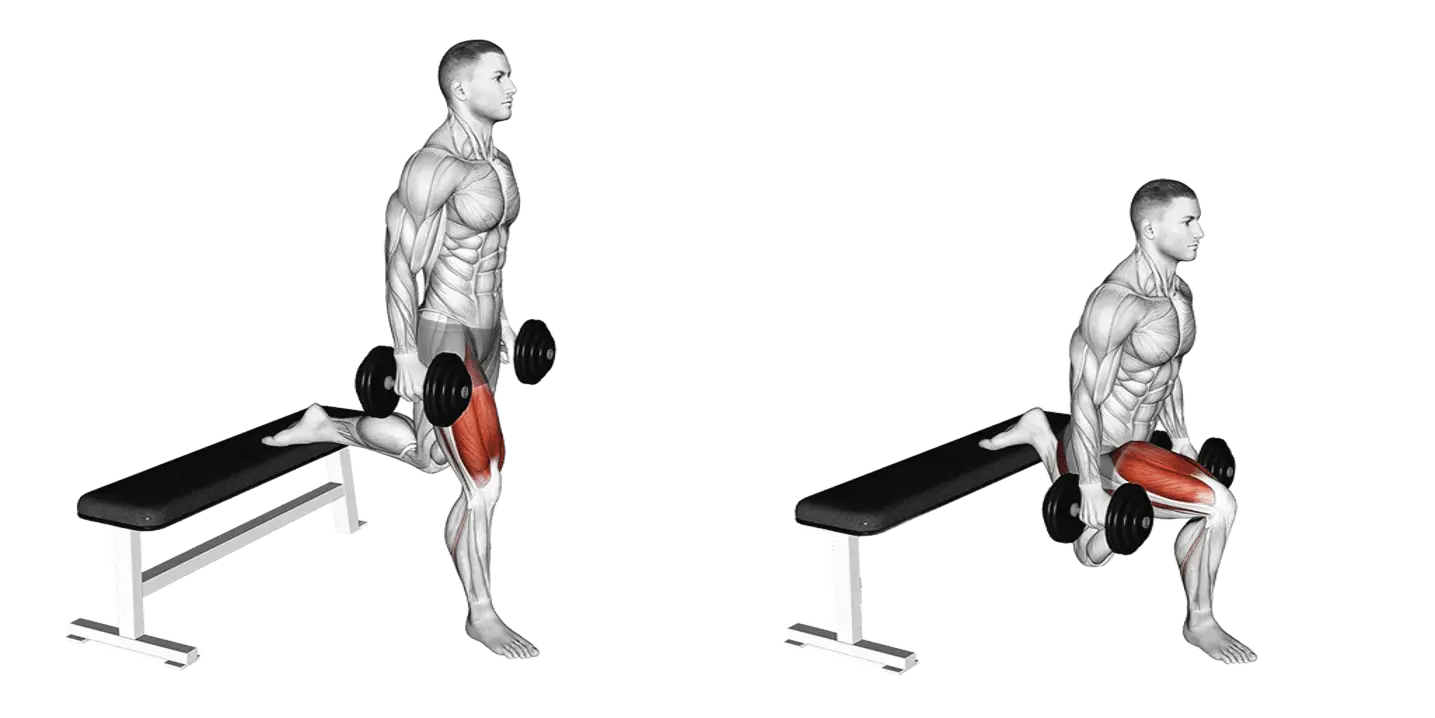 Dumbbell Bulgarian Split Squat
