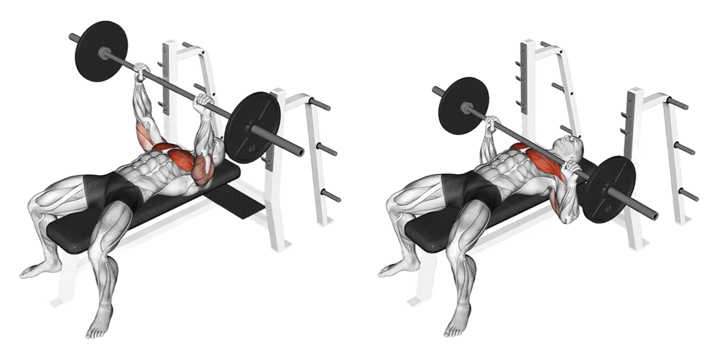 Barbell Bench Press