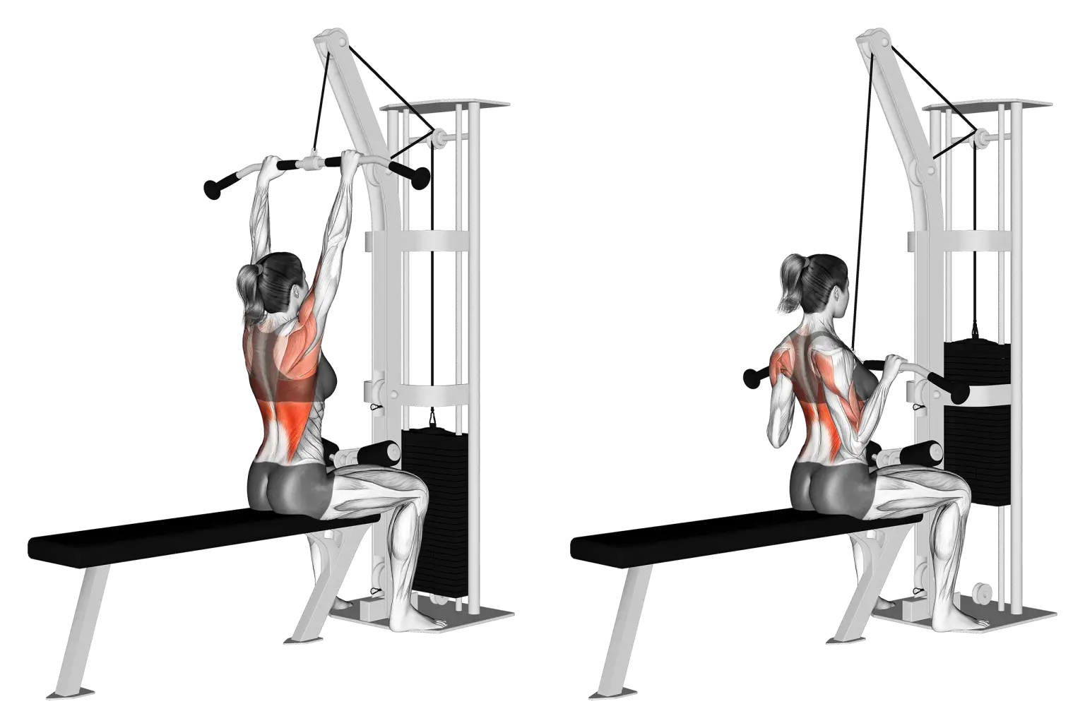 Lat Pulldown