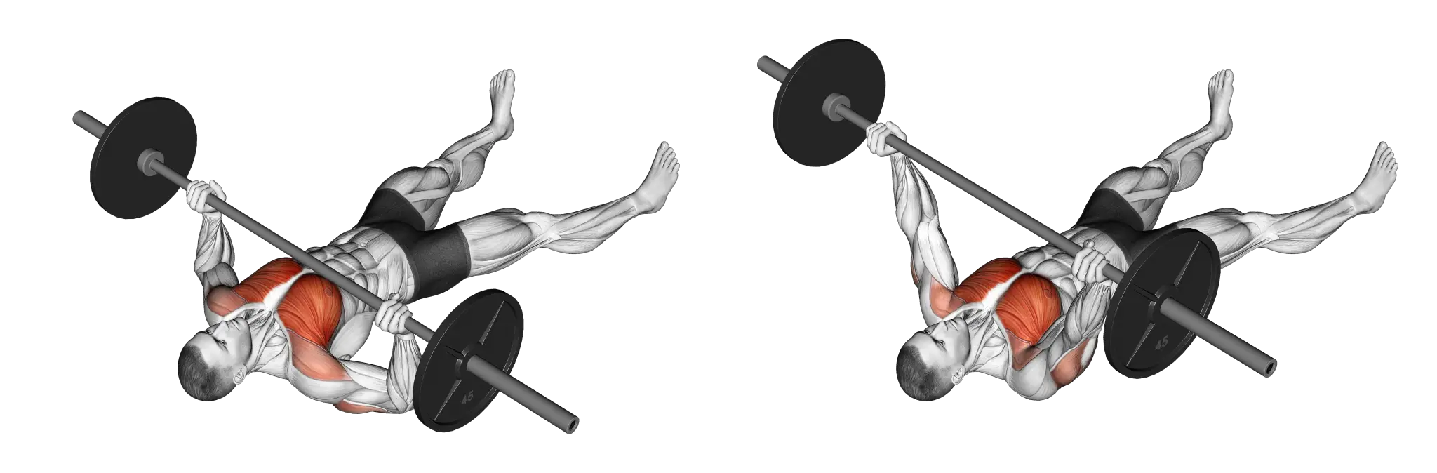 Barbell Floor Press