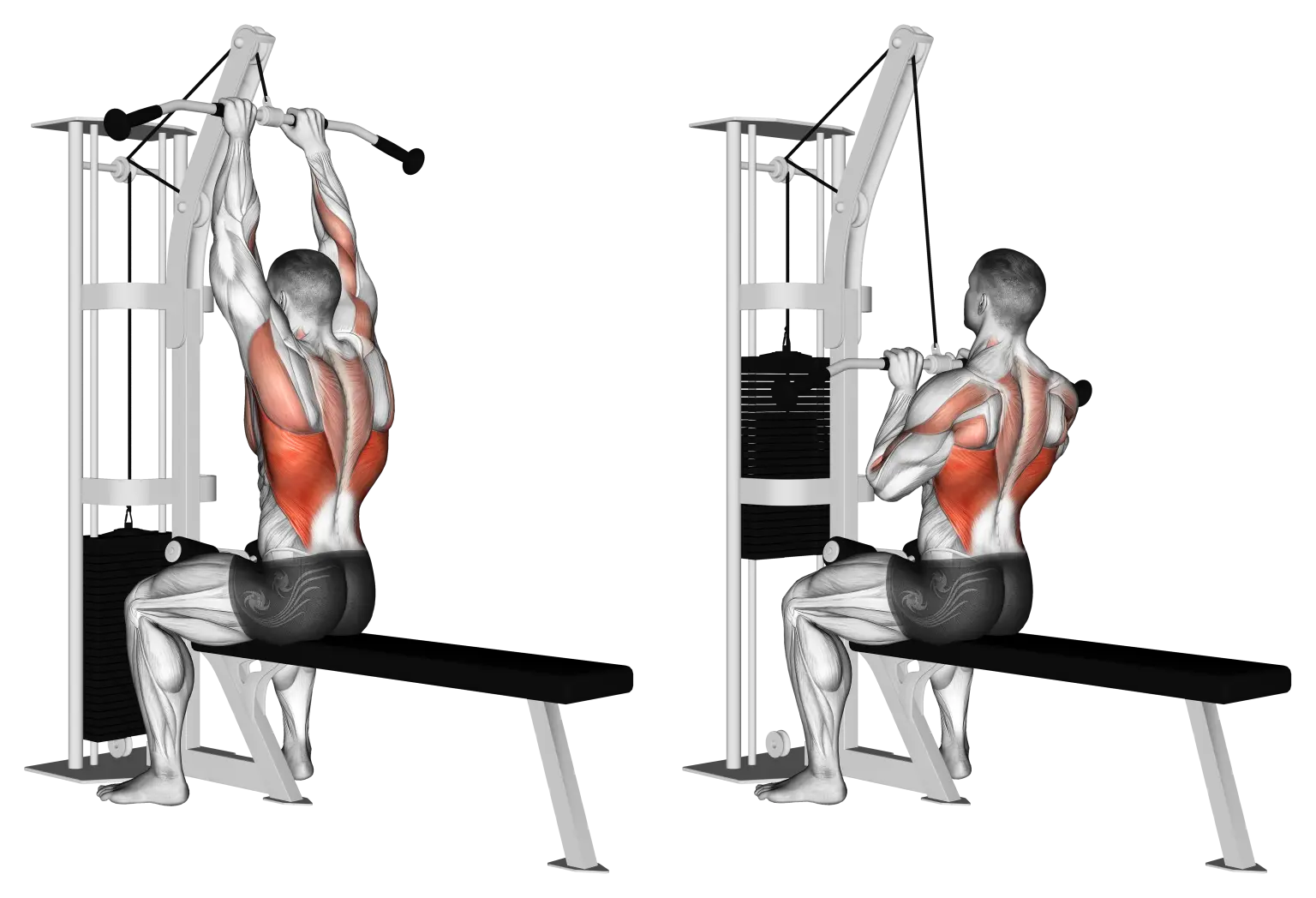 Close Grip Lat Pulldown