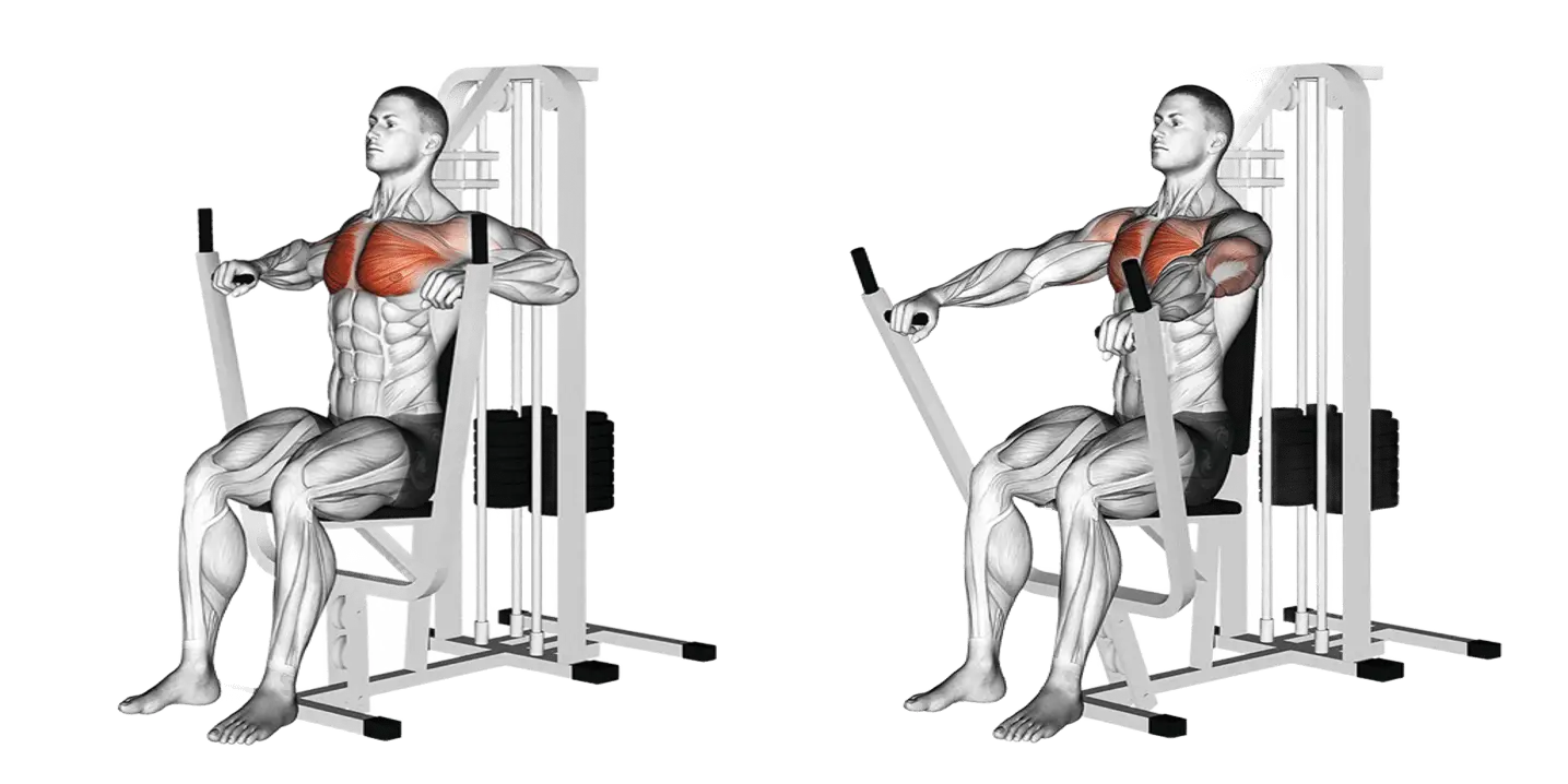 Lever Chest Press