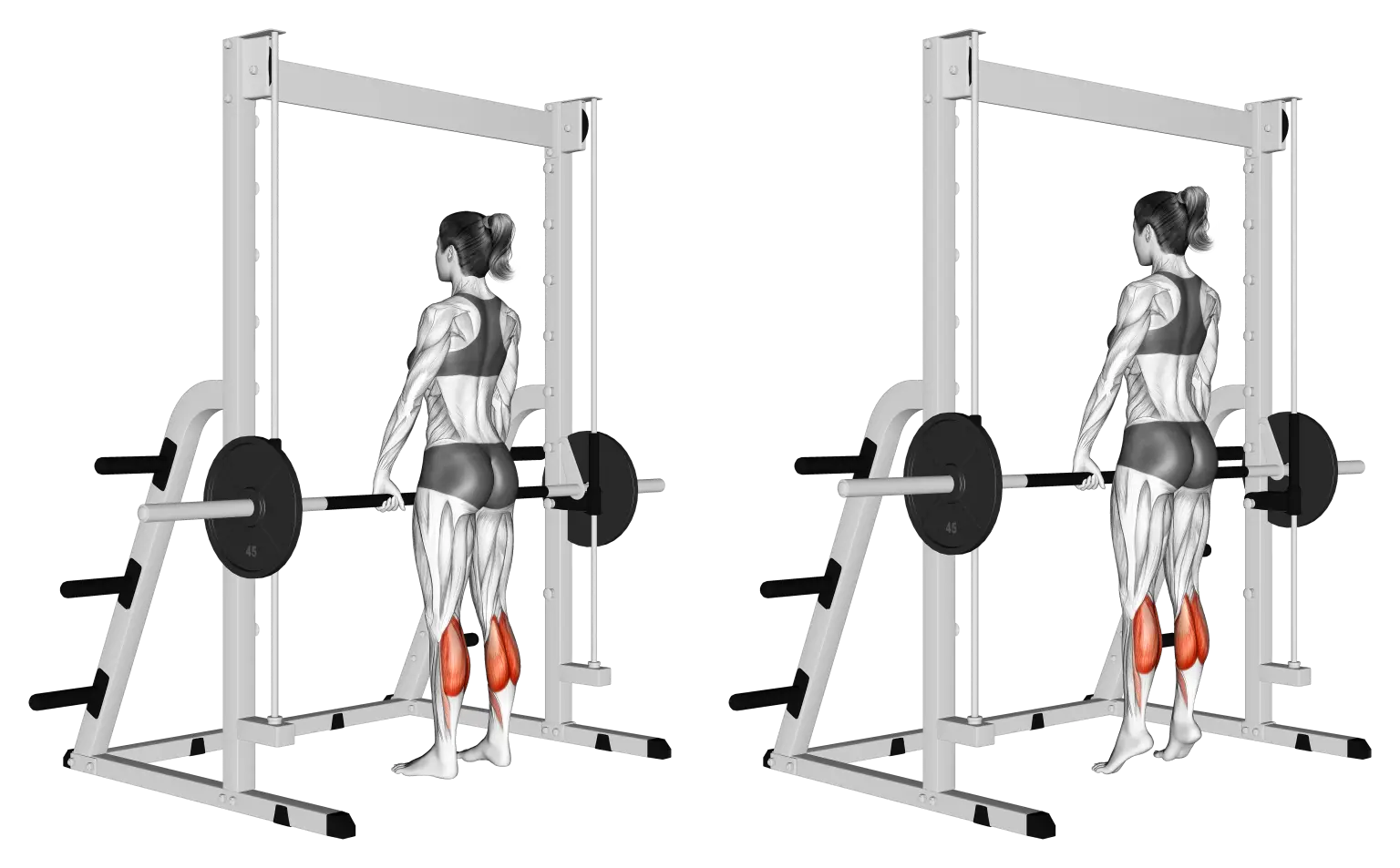 Smith Machine Calf Raise