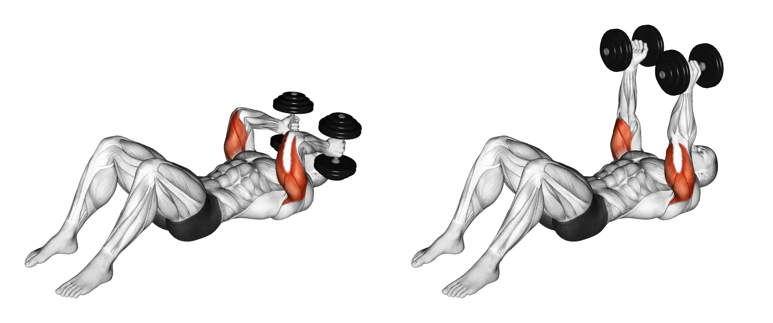 Dumbbell Skull Crusher