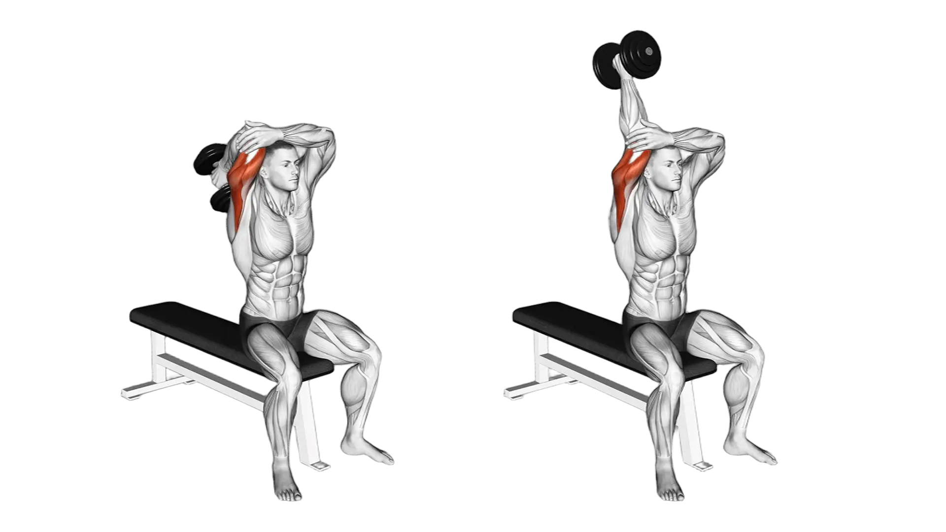 Tricep Overhead Extension