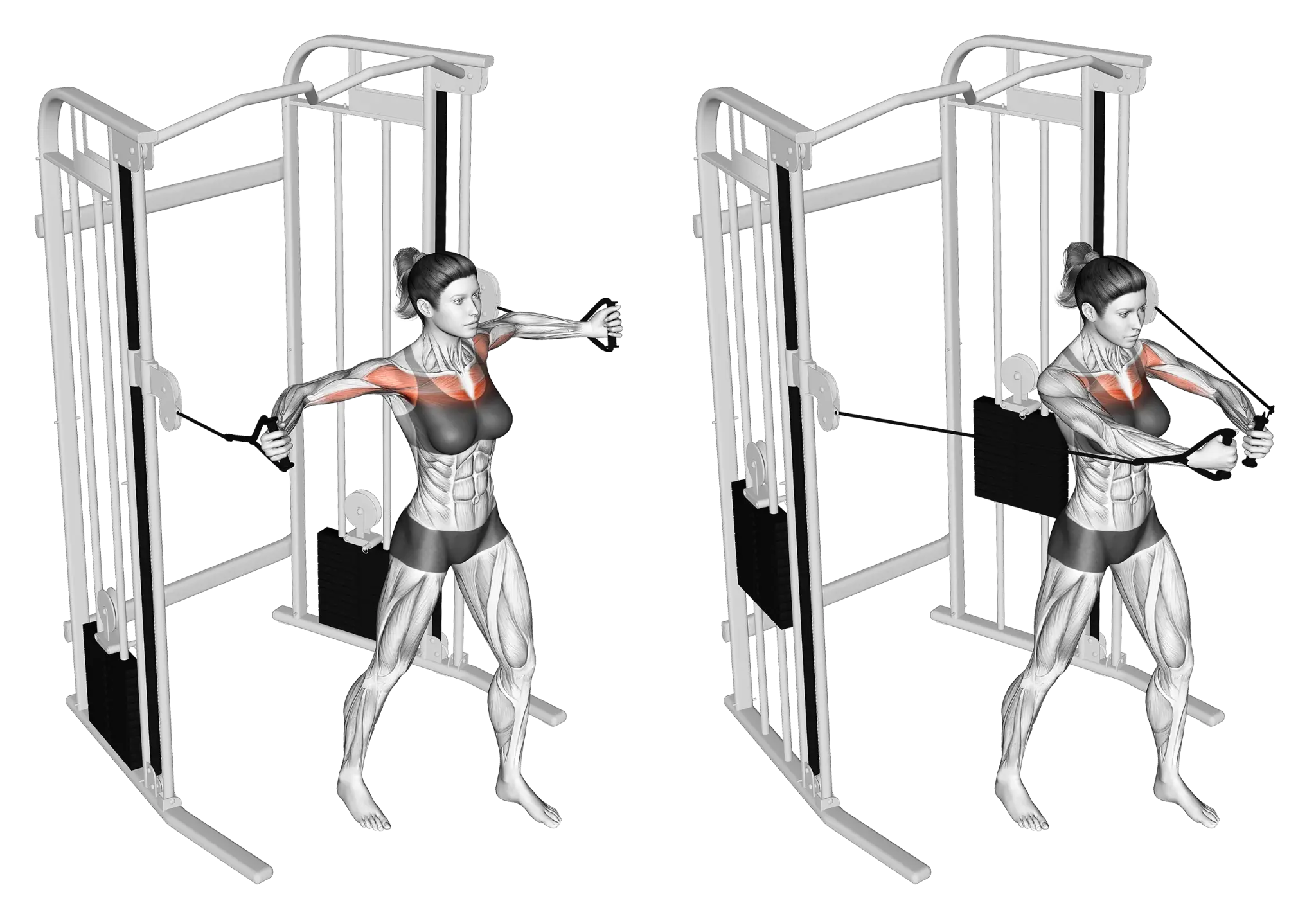 Cable Chest Fly