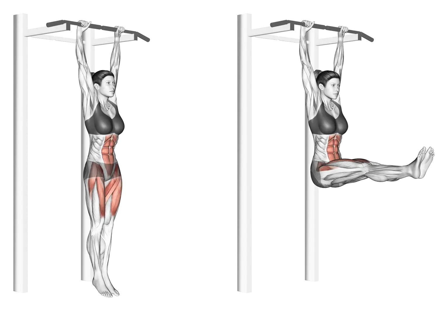 Hanging Leg Raise