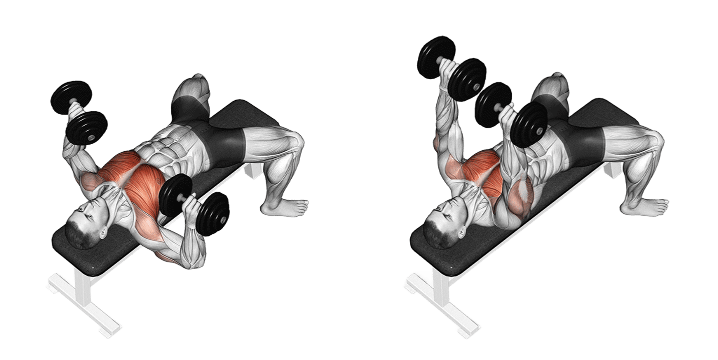 Dumbbell Bench Press